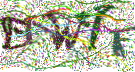 Graficzne pułapki CAPTCHA